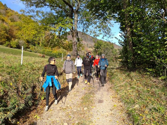 Sortie Marche nordique à Grenoble