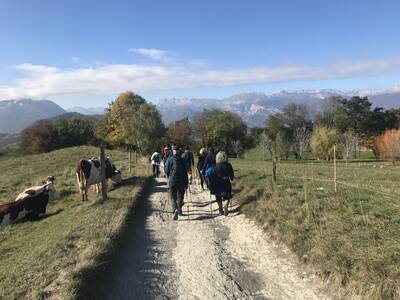 La marche nordique du samedi : révision des bases en 7 étapes au bois français