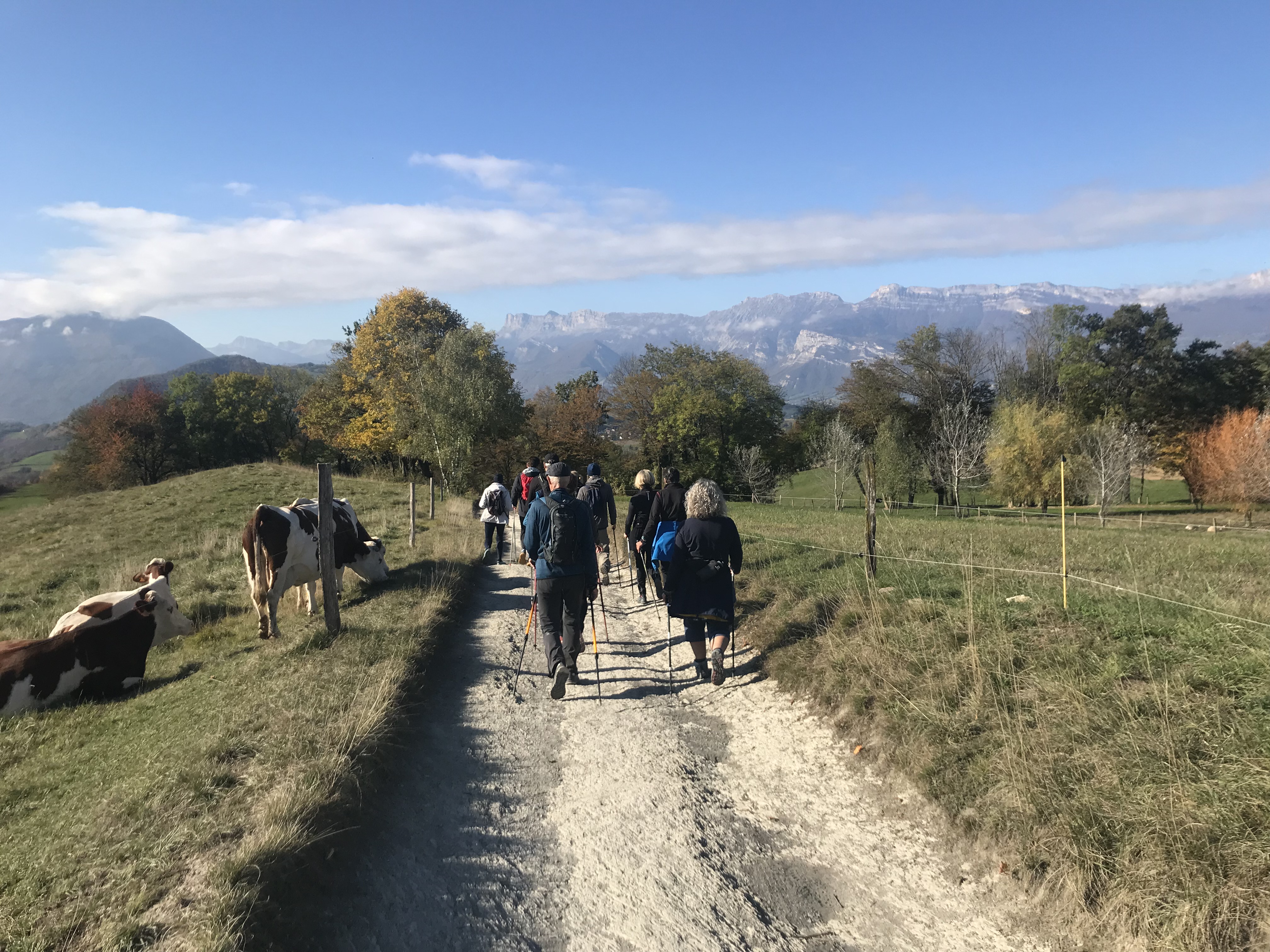 La marche nordique du samedi : révision des bases en 7 étapes au bois français