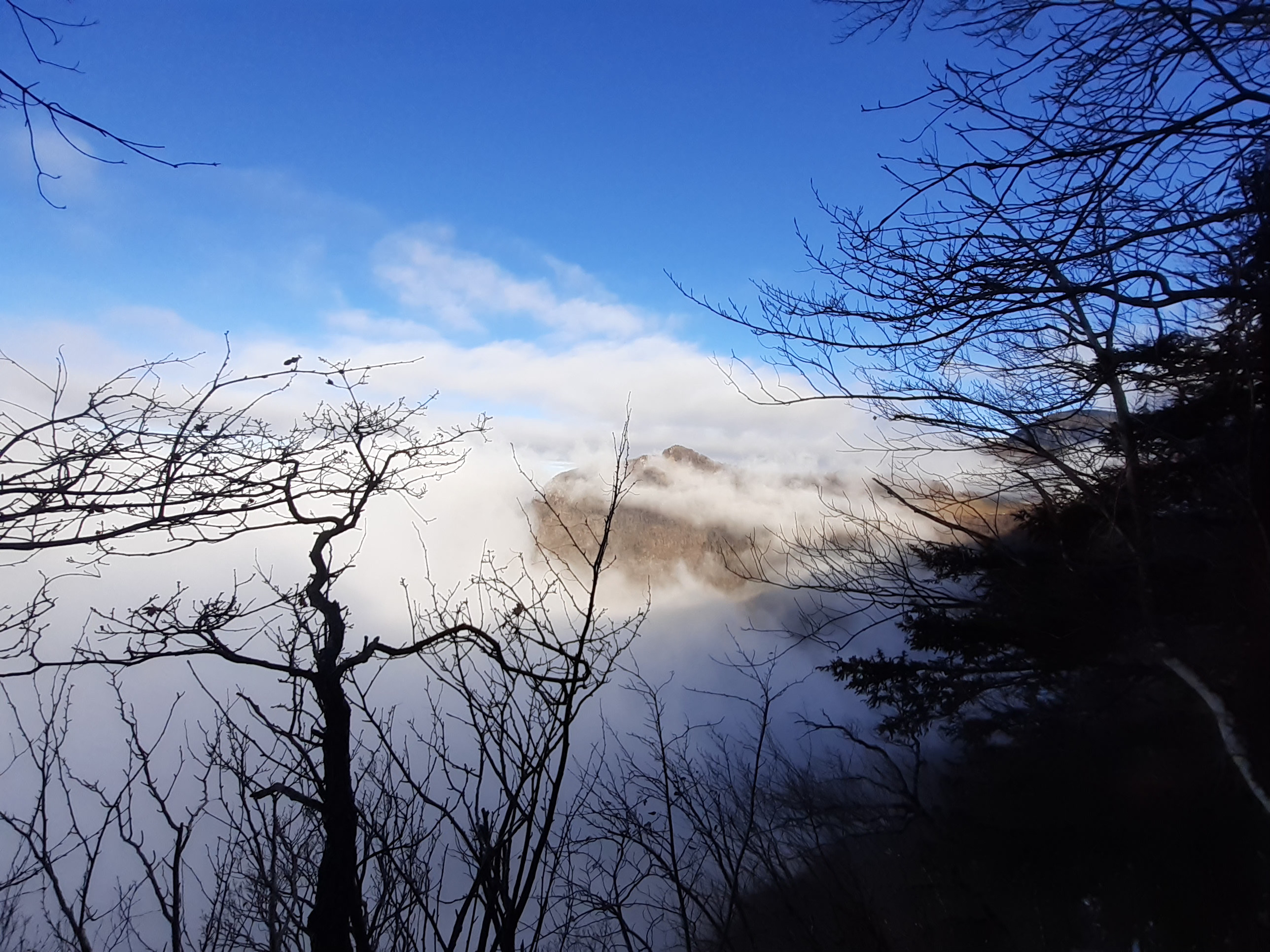 BELLE SORTIE TRAIL A L'ABBAYE DE CHALAIS