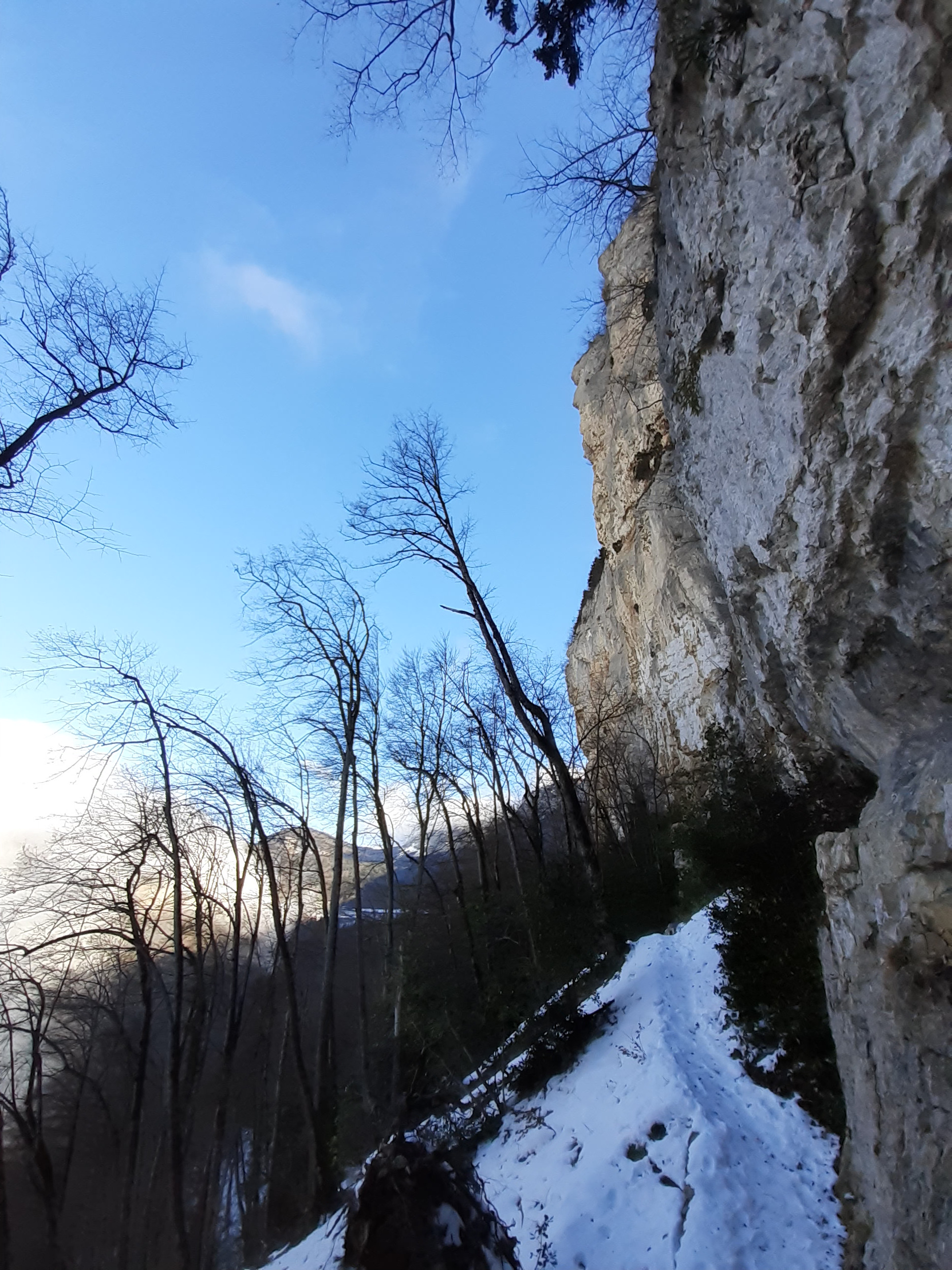 BELLE SORTIE TRAIL A L'ABBAYE DE CHALAIS