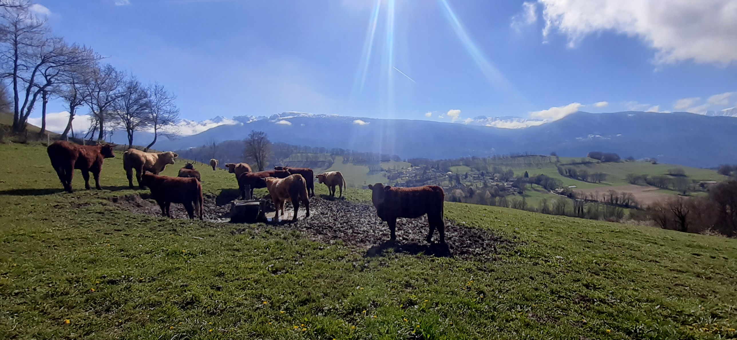TRAIL : SORTIE AU FORT DES QUATRE SEIGNEURS