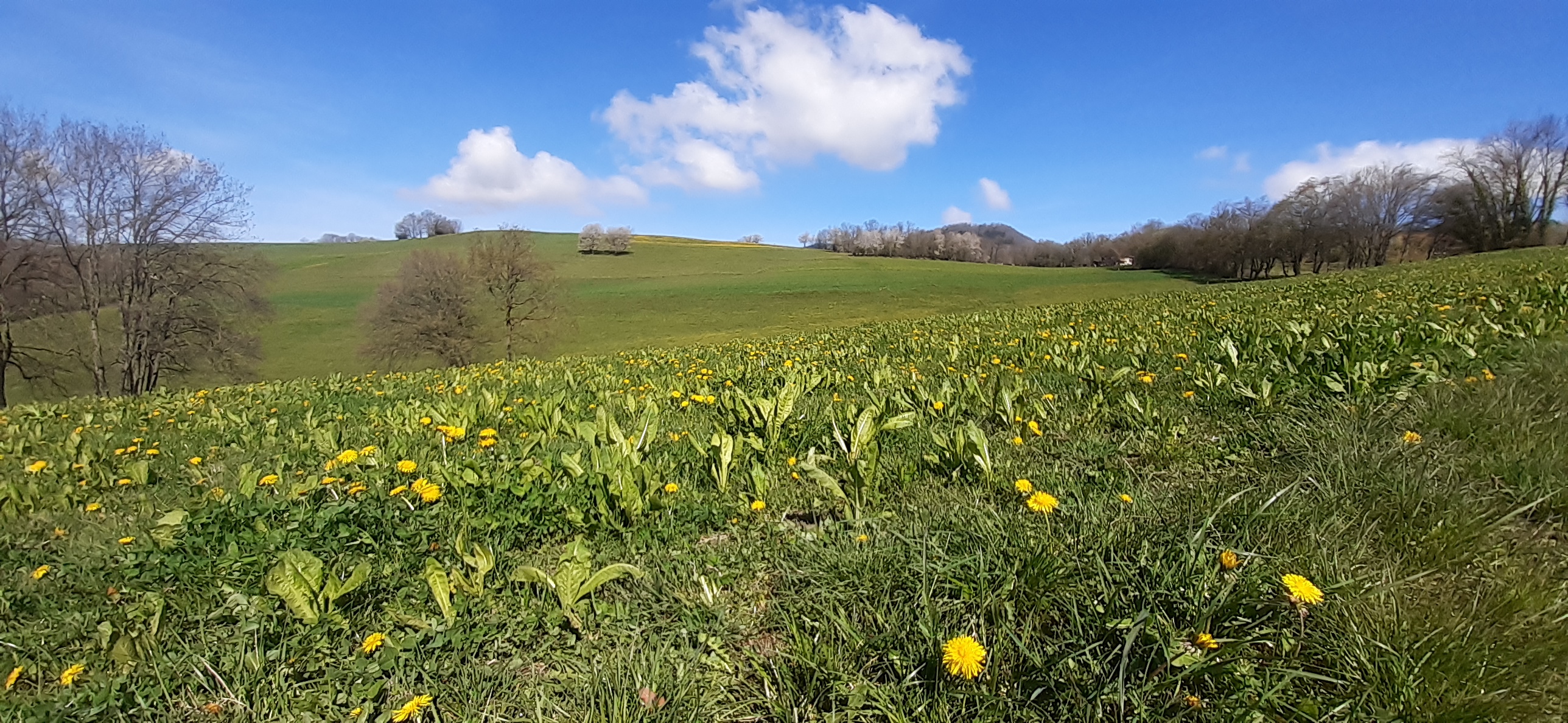 TRAIL : SORTIE AU FORT DES QUATRE SEIGNEURS