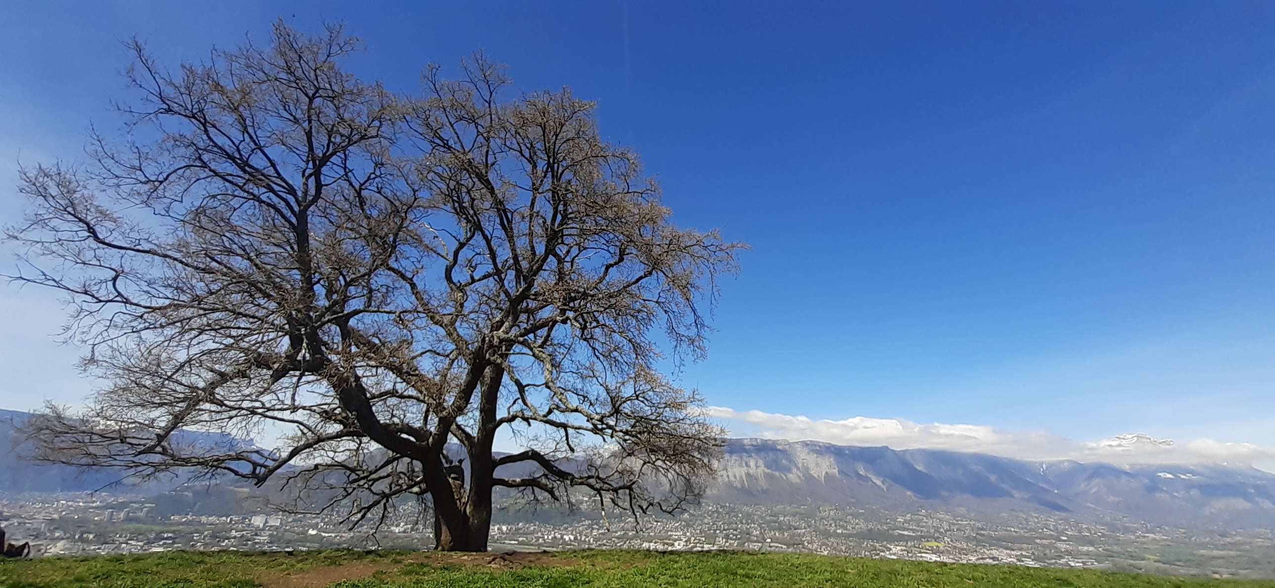 TRAIL : SORTIE AU FORT DES QUATRE SEIGNEURS