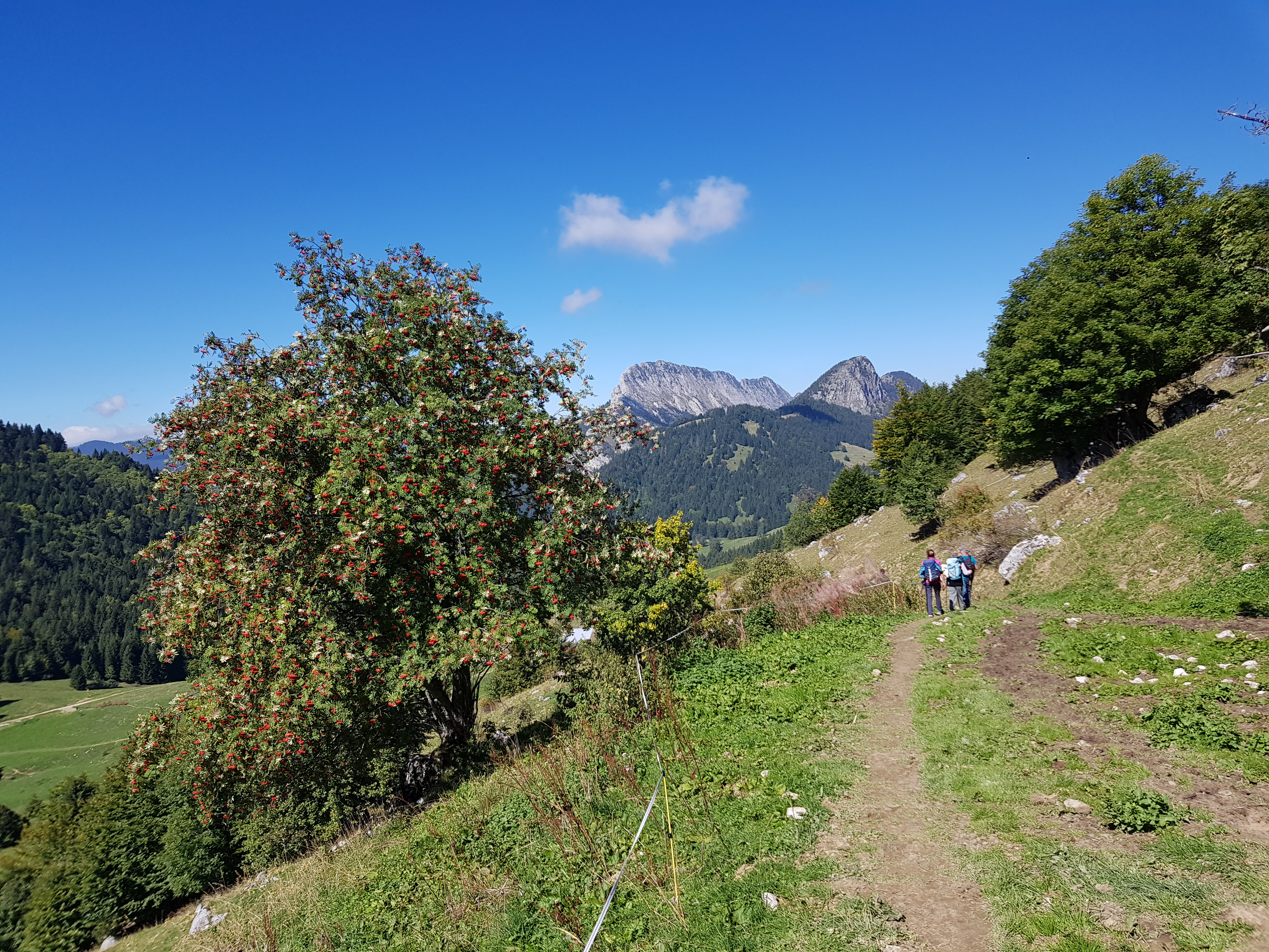 Rando Découverte dans les Bauges