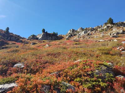 RANDO DECOUVERTE DAND LE ROUGE !!!