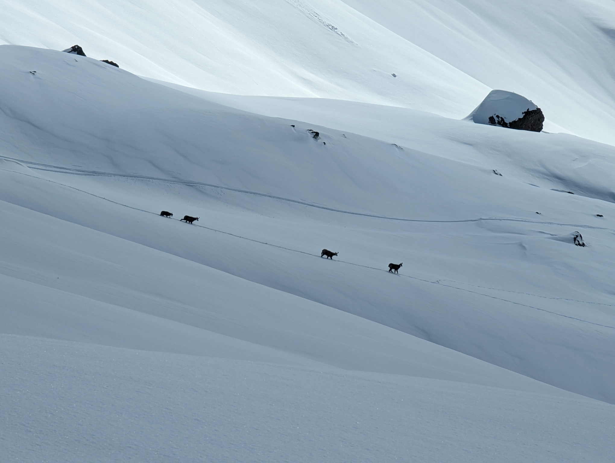 Kesch up tour : ça skie dans les grisons !