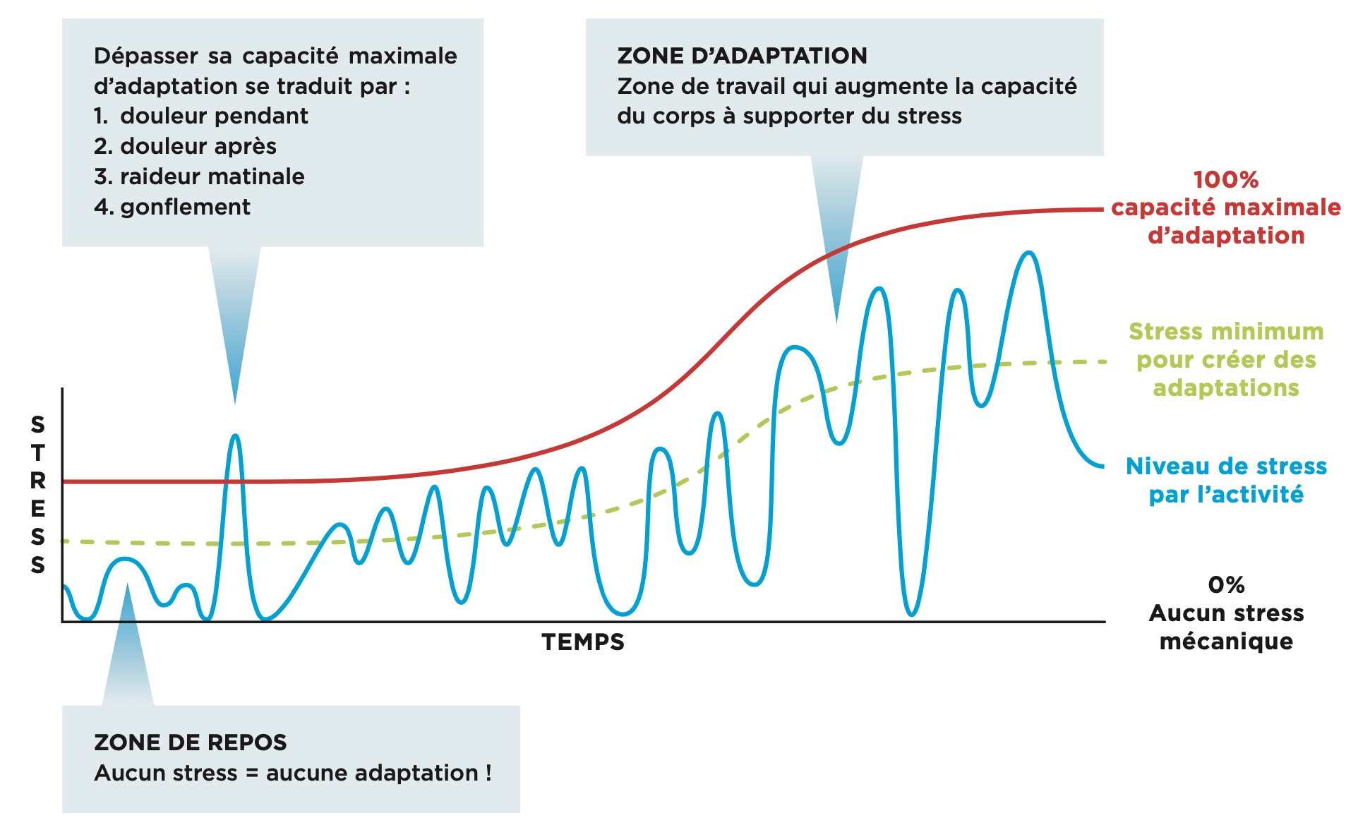 TRAIL : PPG - PROGRESSION & RENFORCEMENT