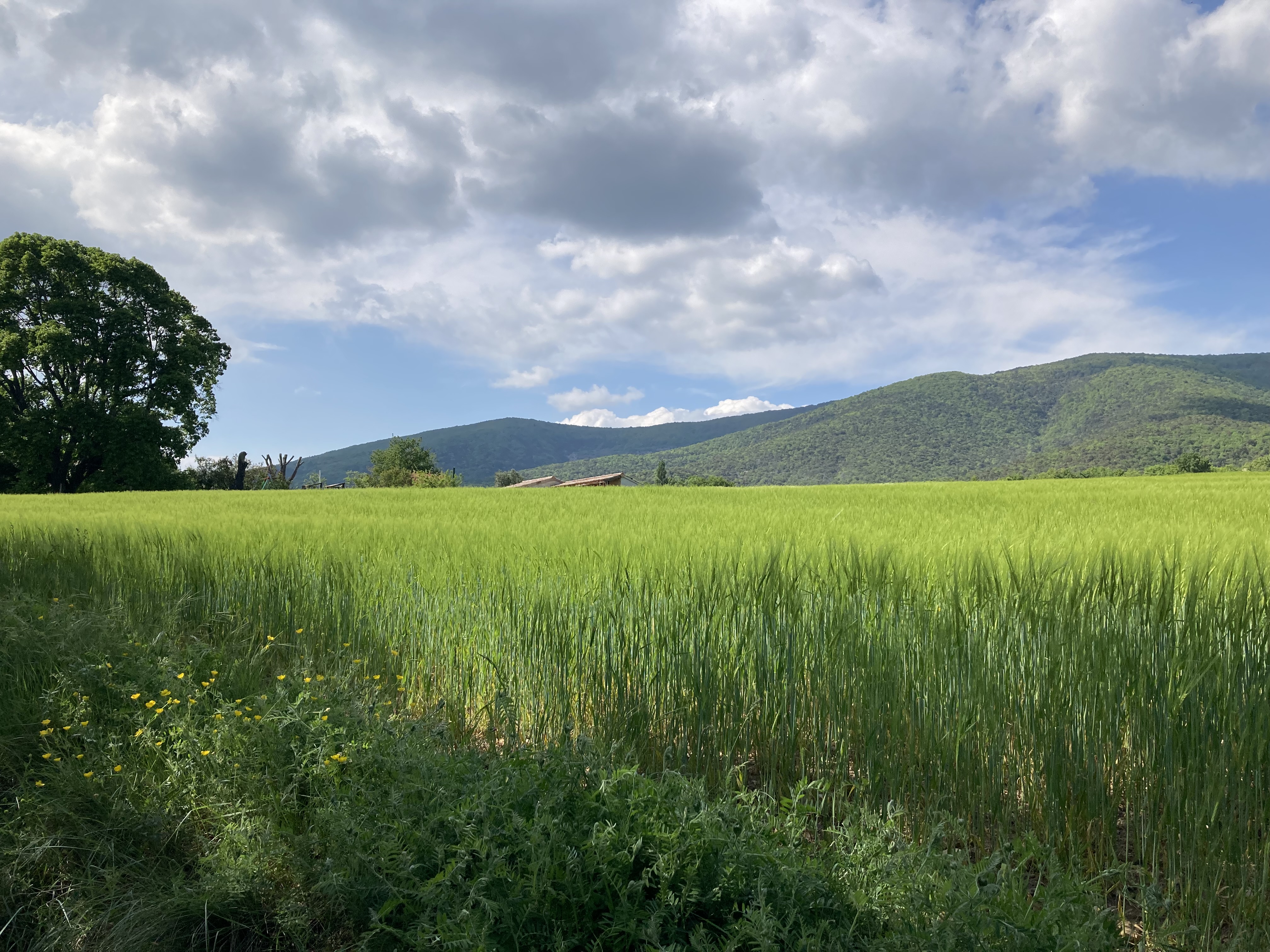 Week-end de Marche Nordique