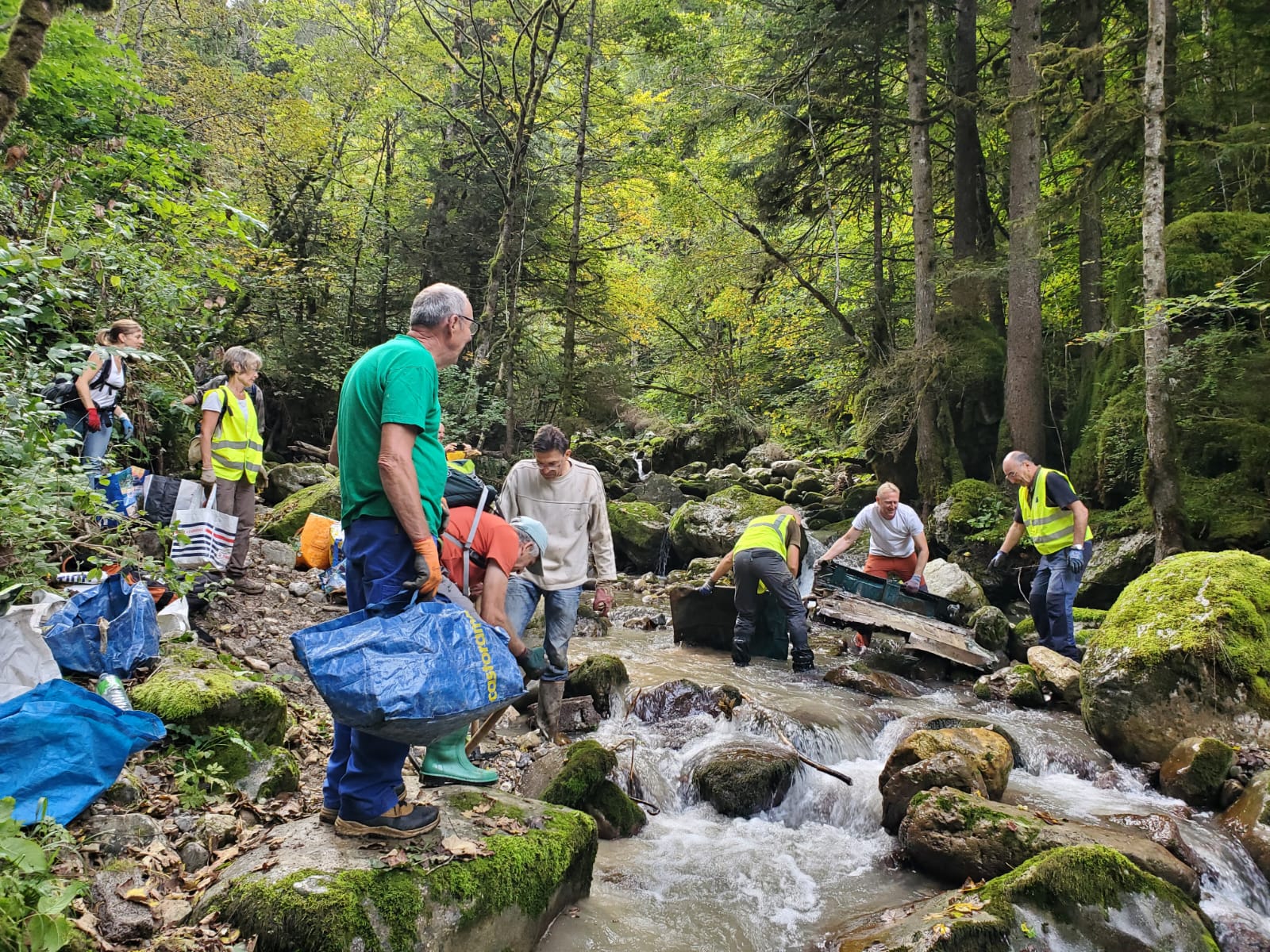 Bénévolat : Chantier de dépollution de Chartreuse à Perquelin