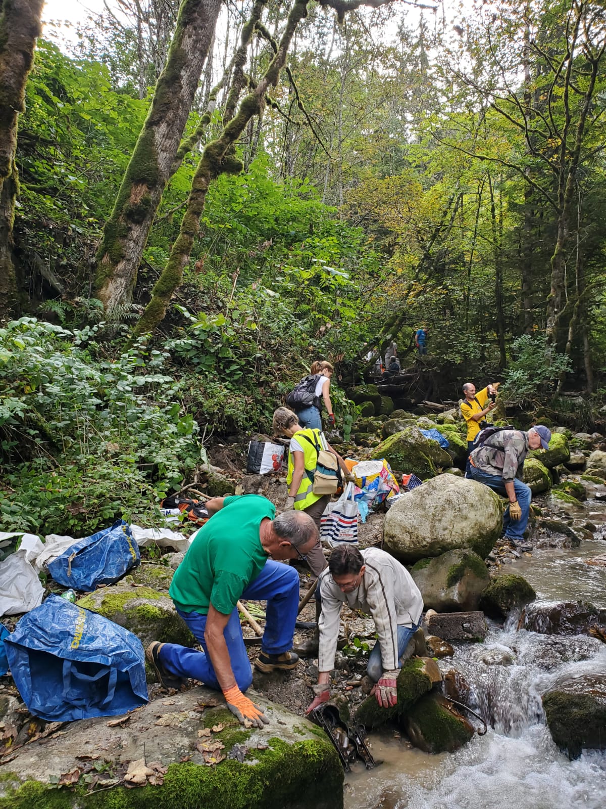 Bénévolat : Chantier de dépollution de Chartreuse à Perquelin