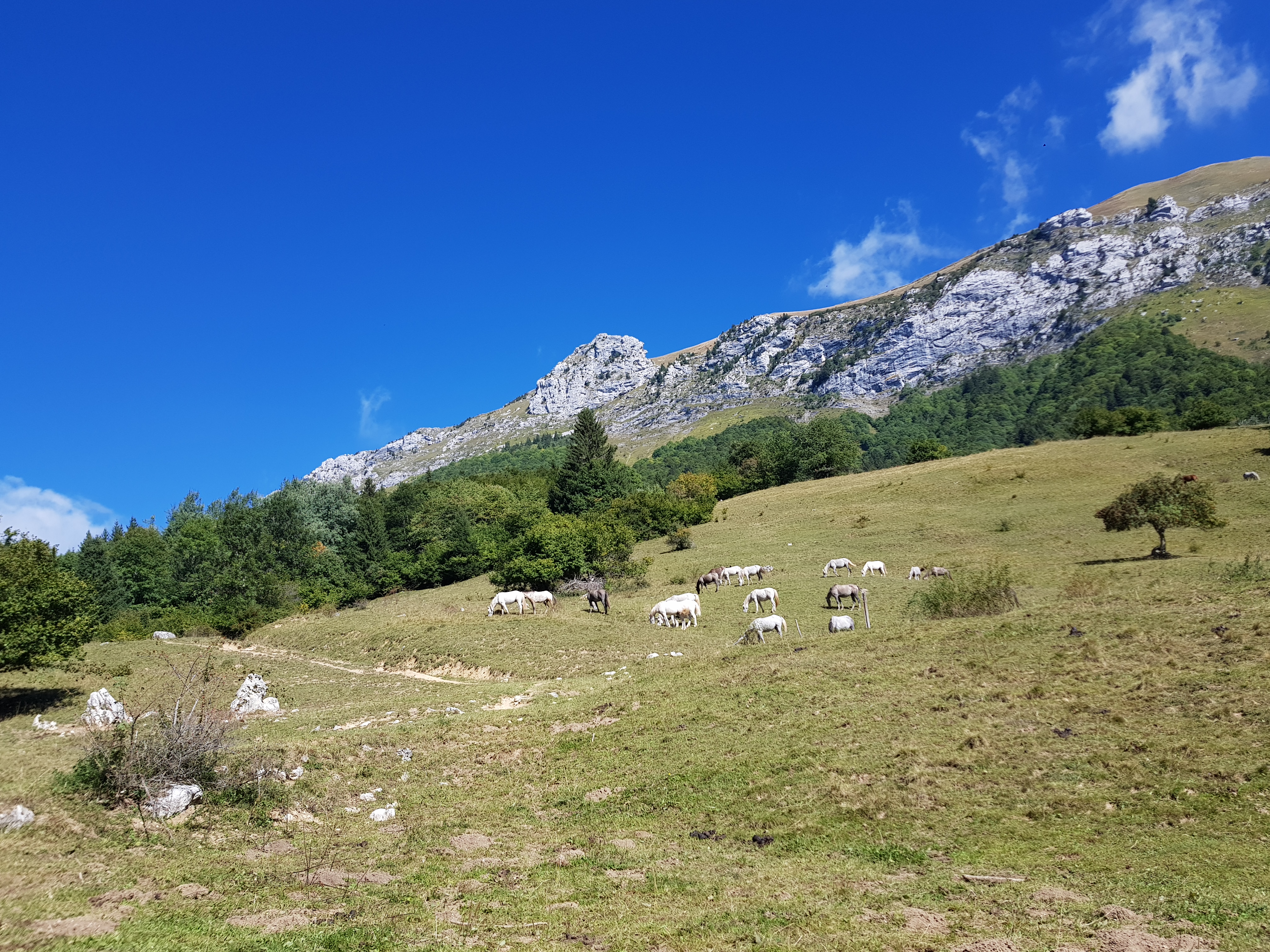 Rando Découverte dans les Bauges