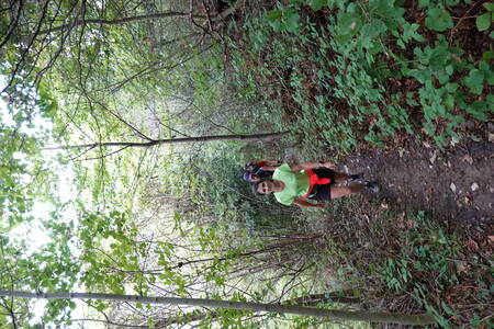 Trail : Tour du Néron