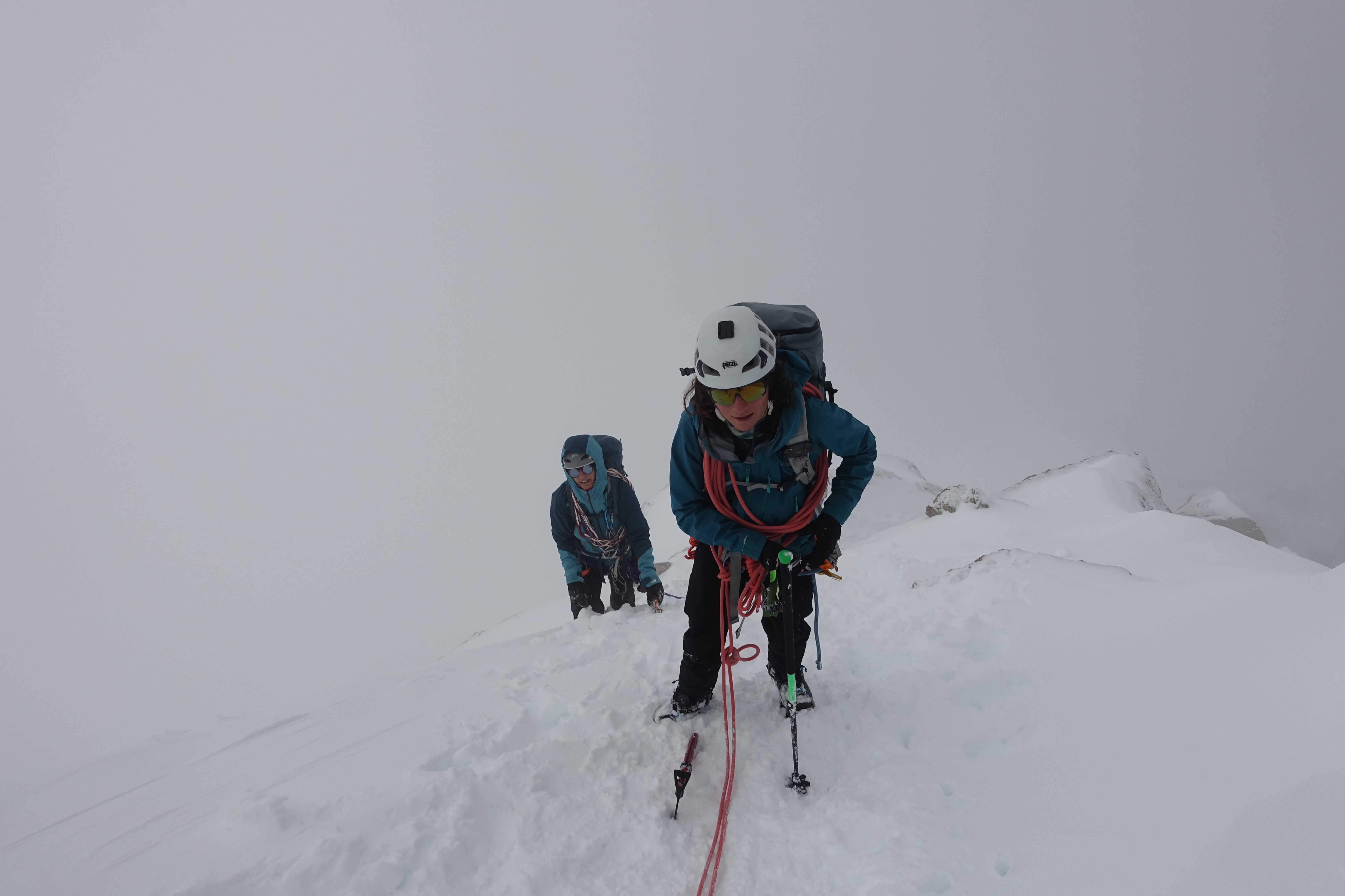 Arête des Cosmiques et Mont Blanc sous les spatules