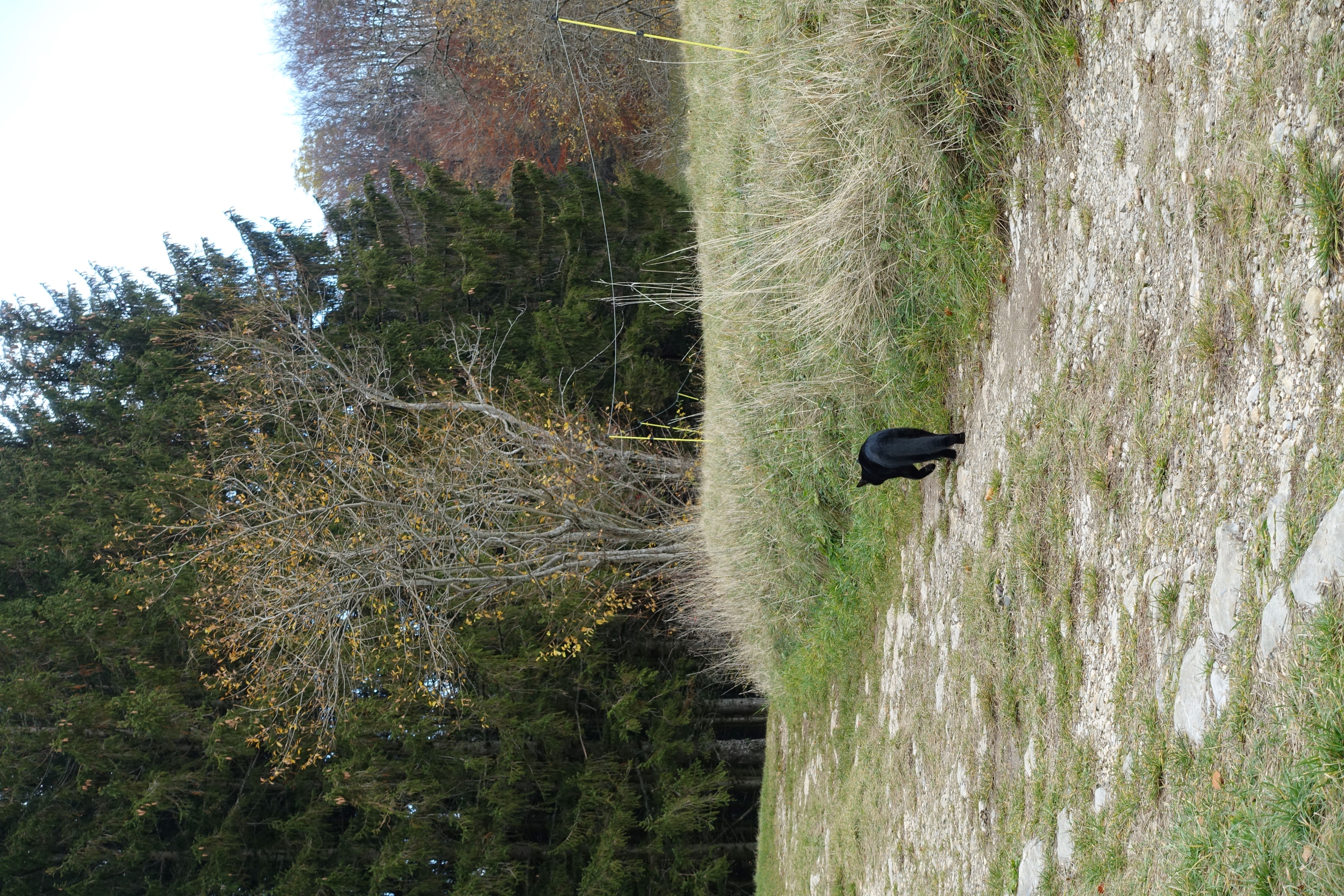 Sortie "public éloigné"