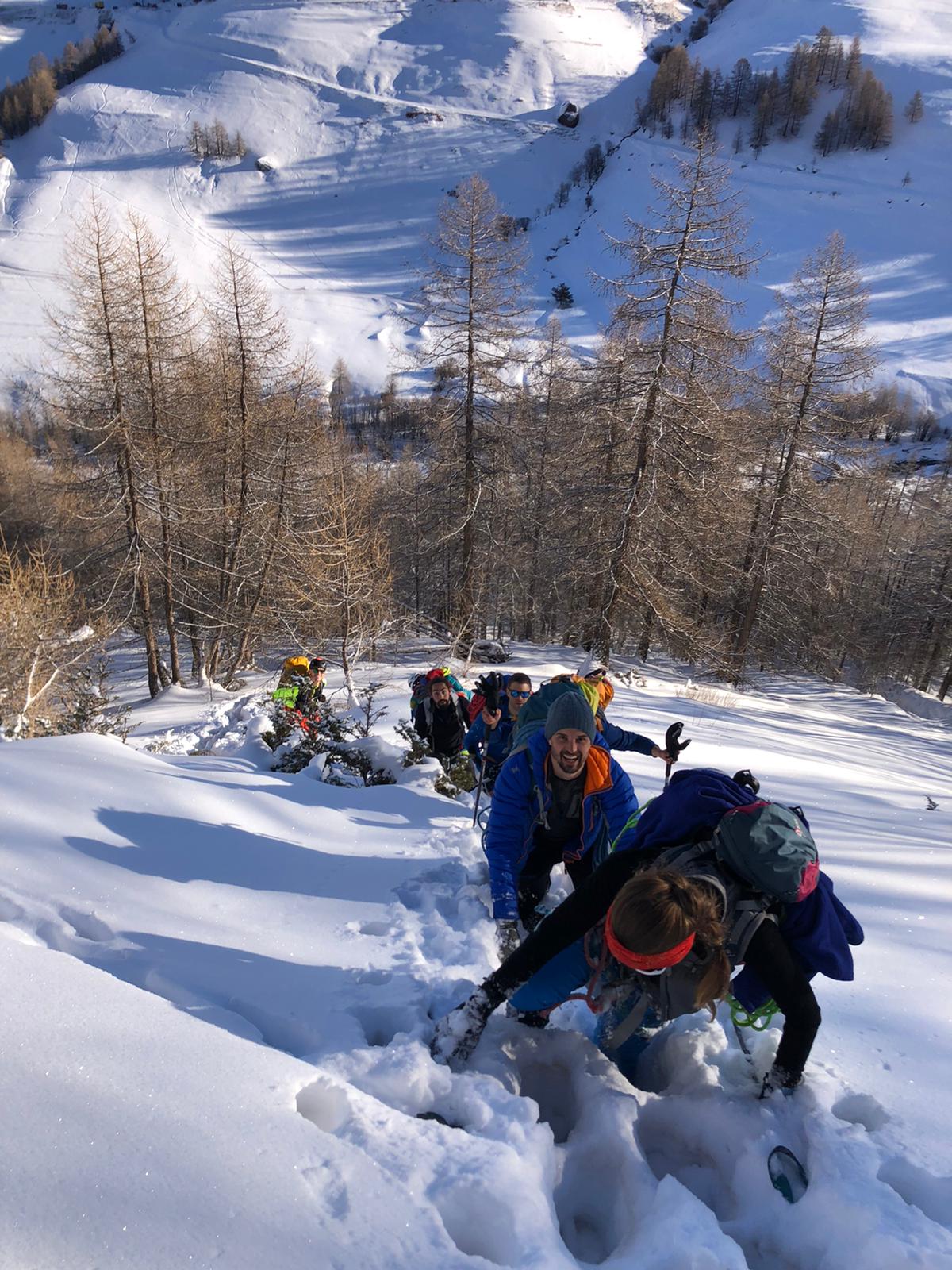 Stage cascade de glace Alpi +