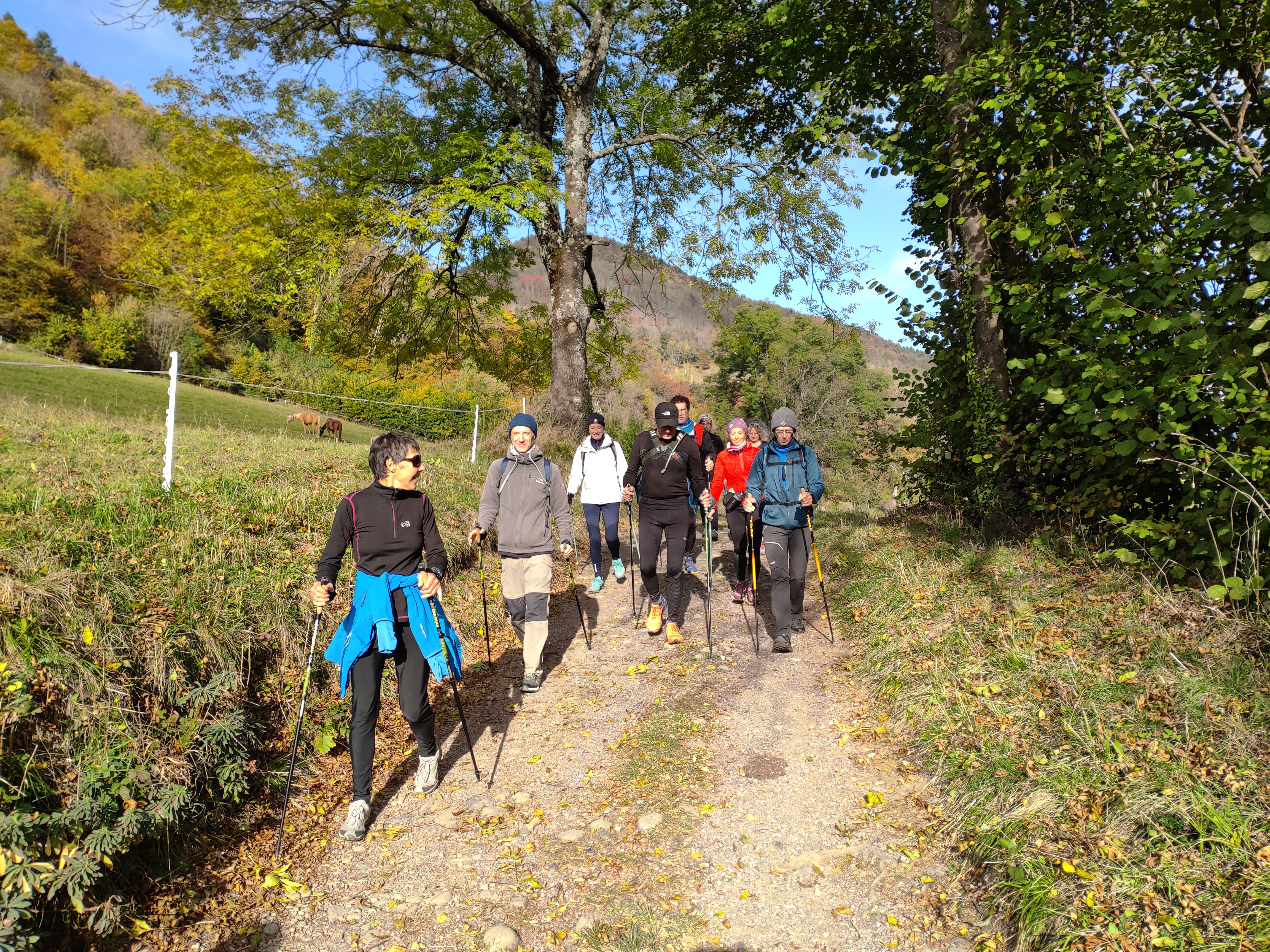 MARCHE NORDIQUE BRIE /VAULNAVEYS LE HAUT / BRIE