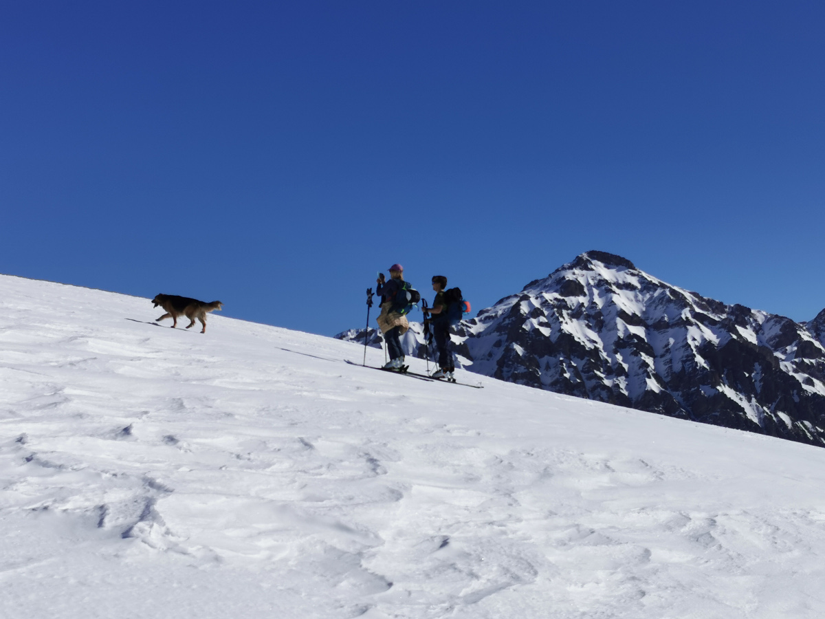 Ski de montagne débutant / sortie à la Cime de Lancheton