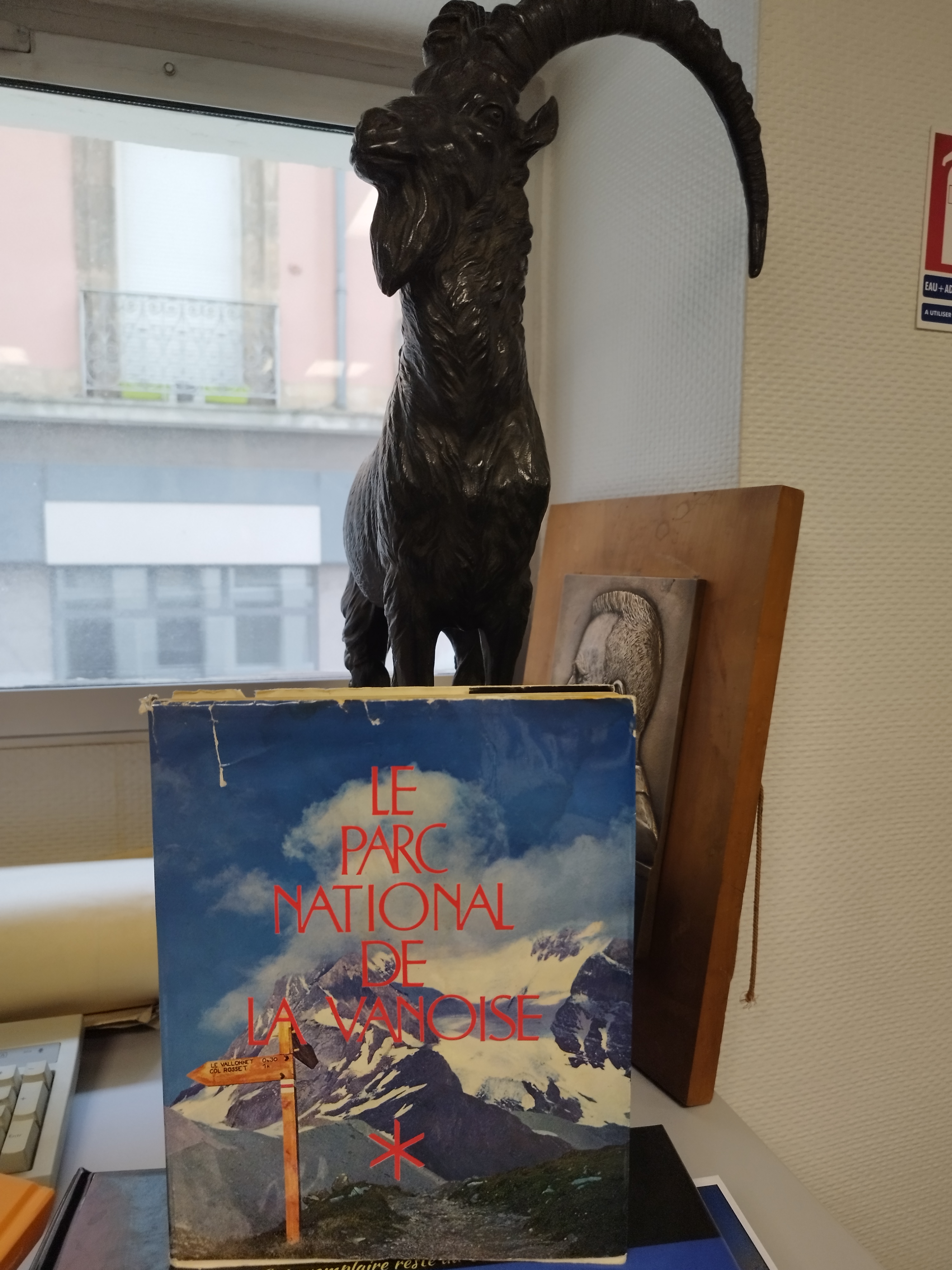 Saison estivale à la bibliothèque du CAF GI