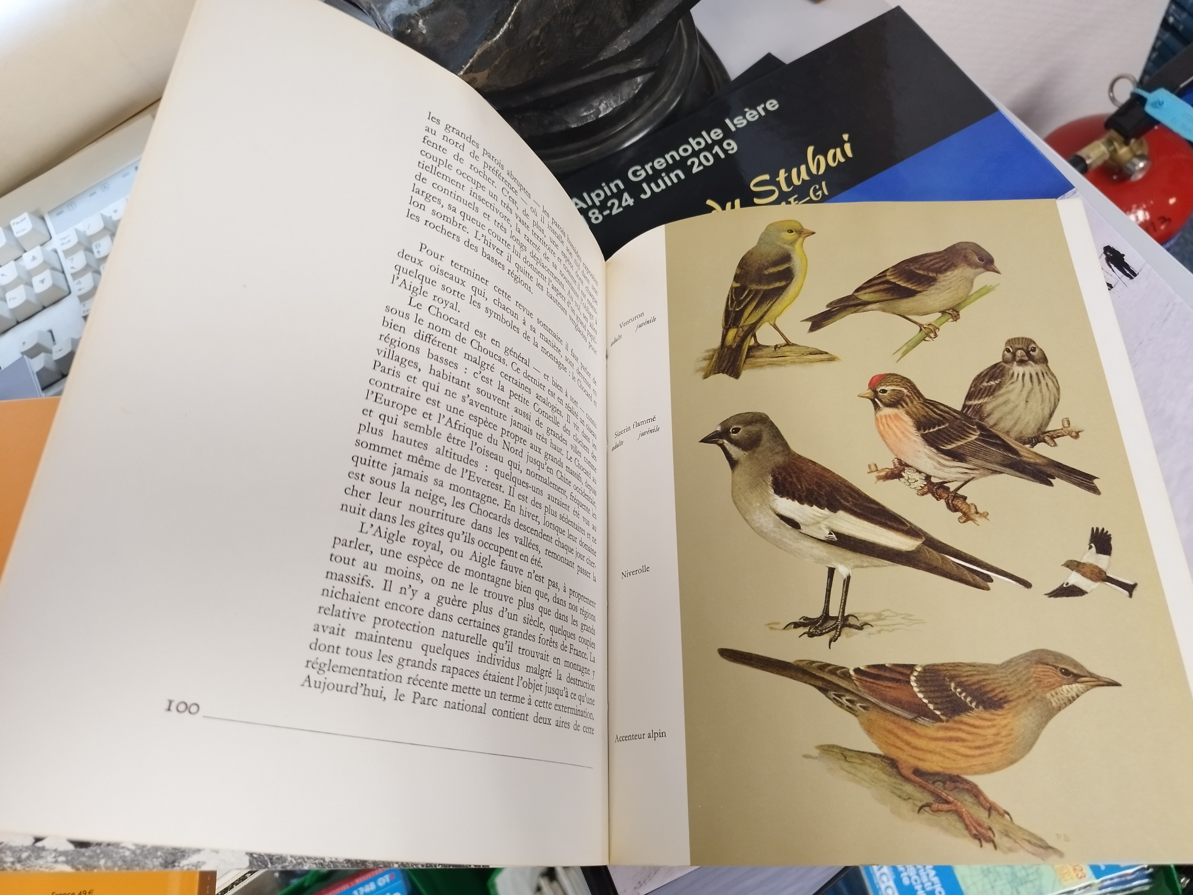 Saison estivale à la bibliothèque du CAF GI