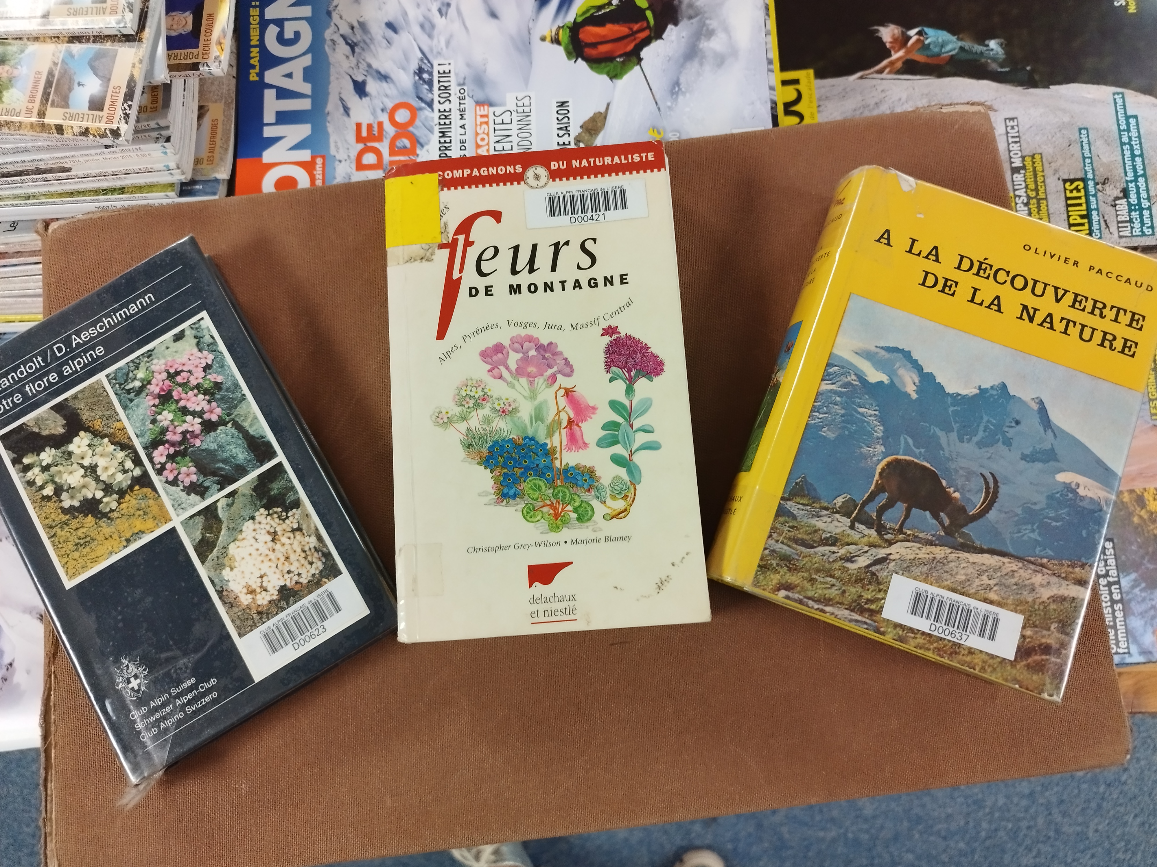Printemps fleuri à la bibliothèque du CAFGI