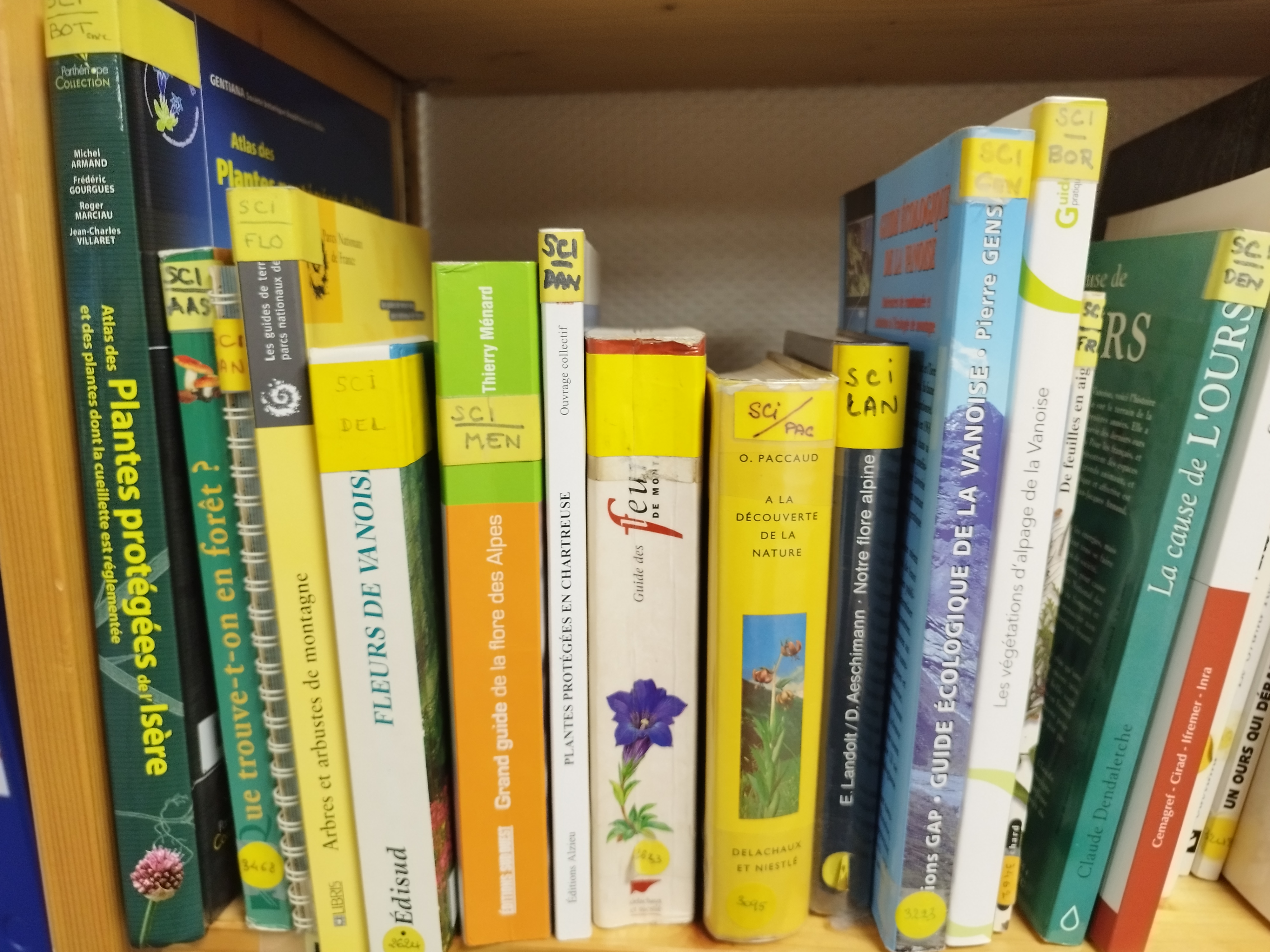 Saison estivale à la bibliothèque du CAF GI