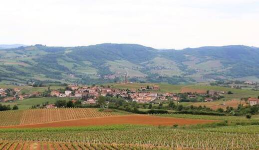 Marche Nordique, Culture, Beaujolais