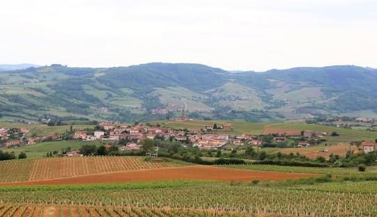Marche Nordique, Culture, Beaujolais