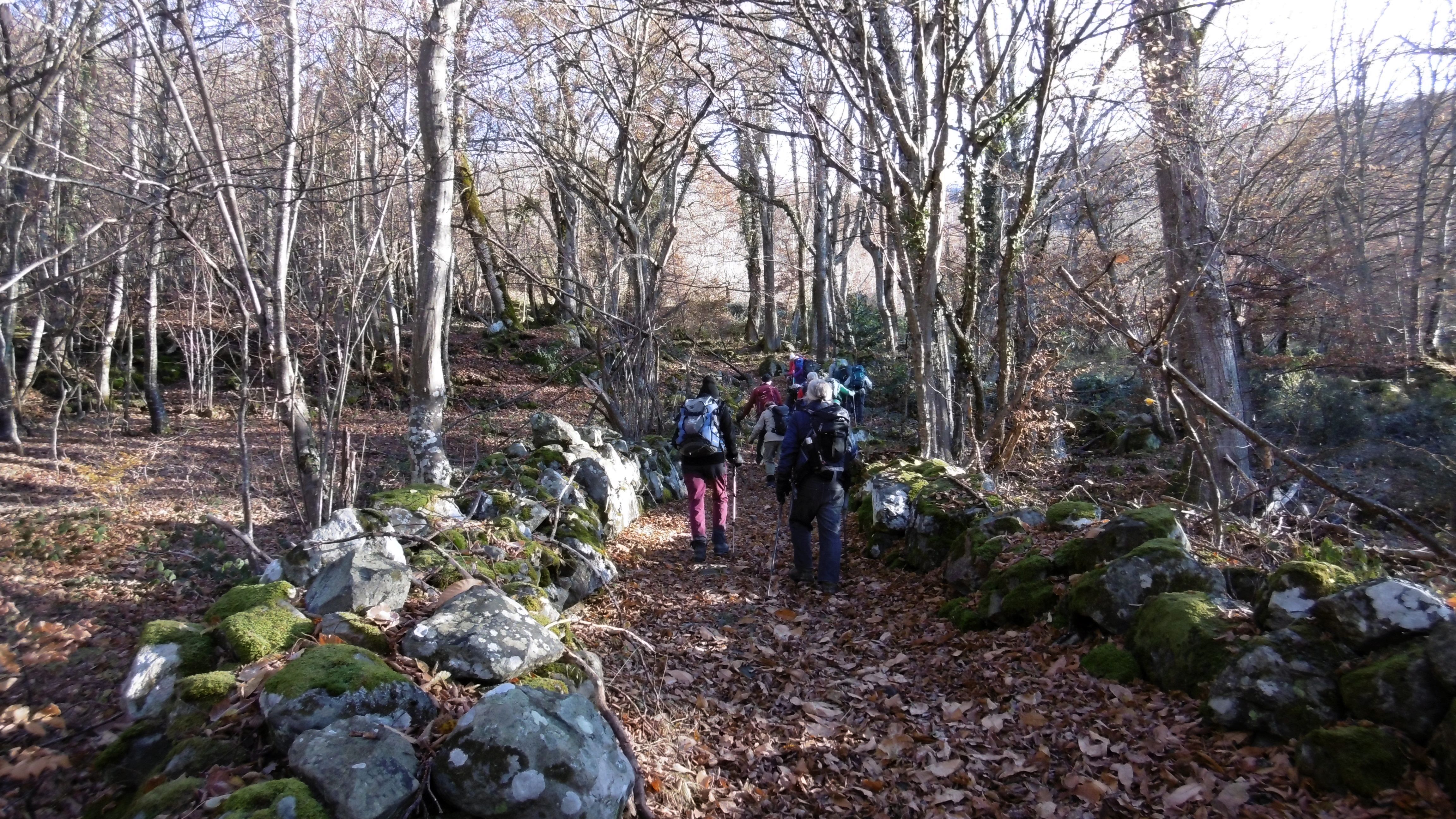 Rando Découverte devient RANDO POIREAUX