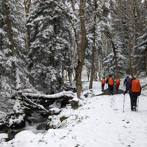 Les Lacs de Laffrey
