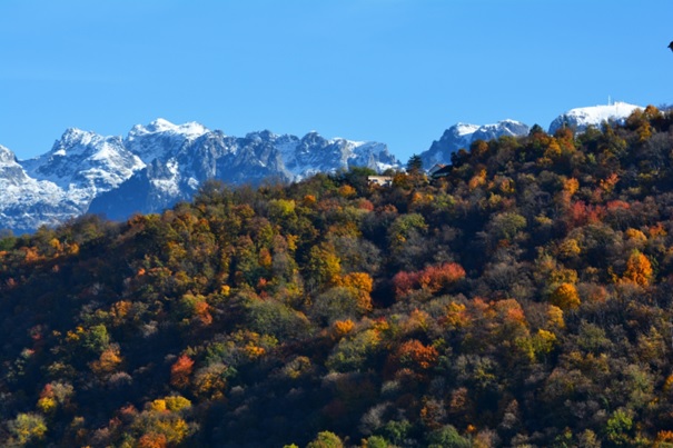 Conférence "Changements climatiques et dynamique des forêts de montagnes" au CAF GO le 28 mars