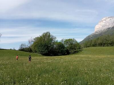 TRAIL : TOUR DU PLATEAU DES PETITES ROCHES