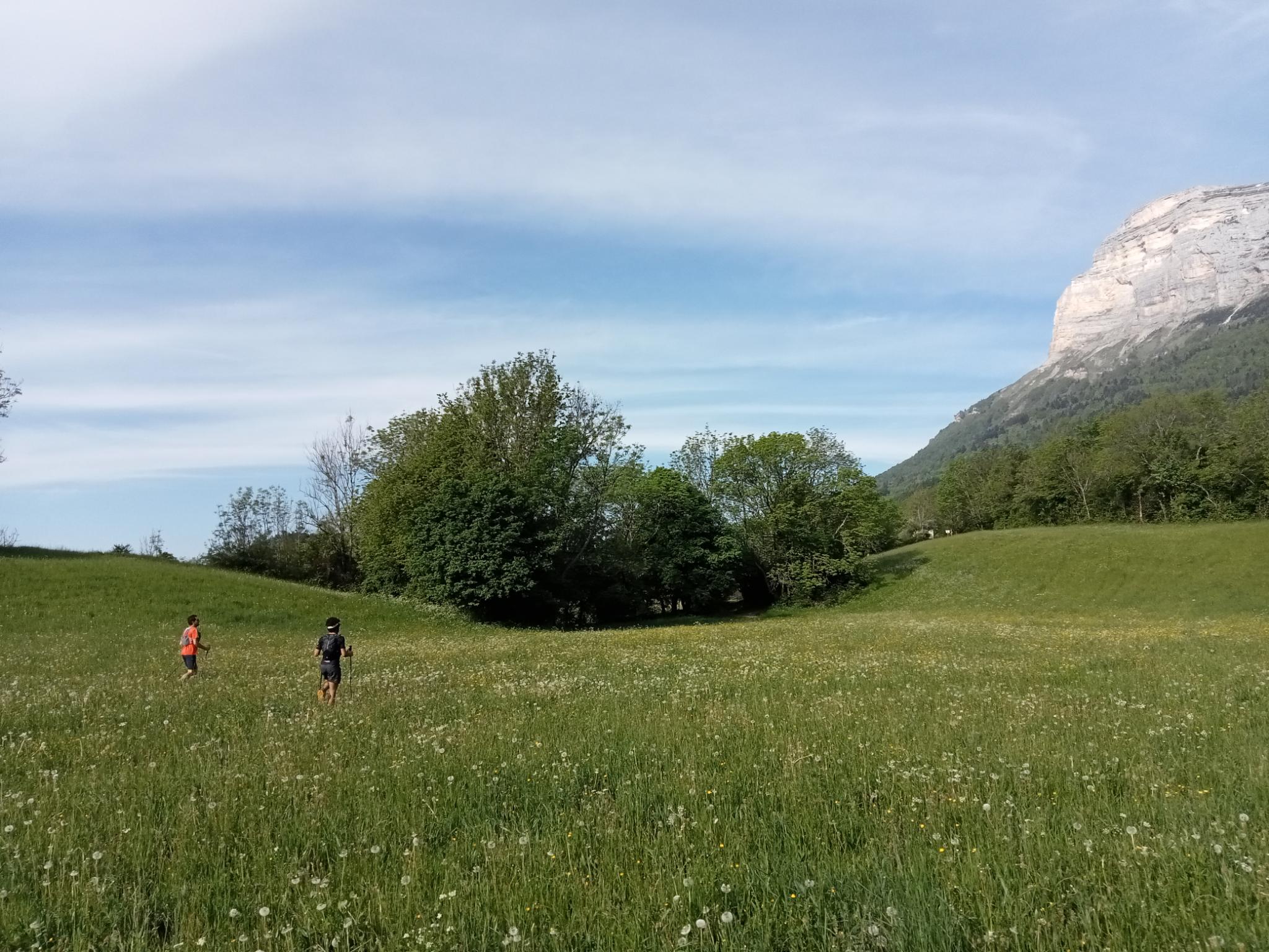 TRAIL : TOUR DU PLATEAU DES PETITES ROCHES