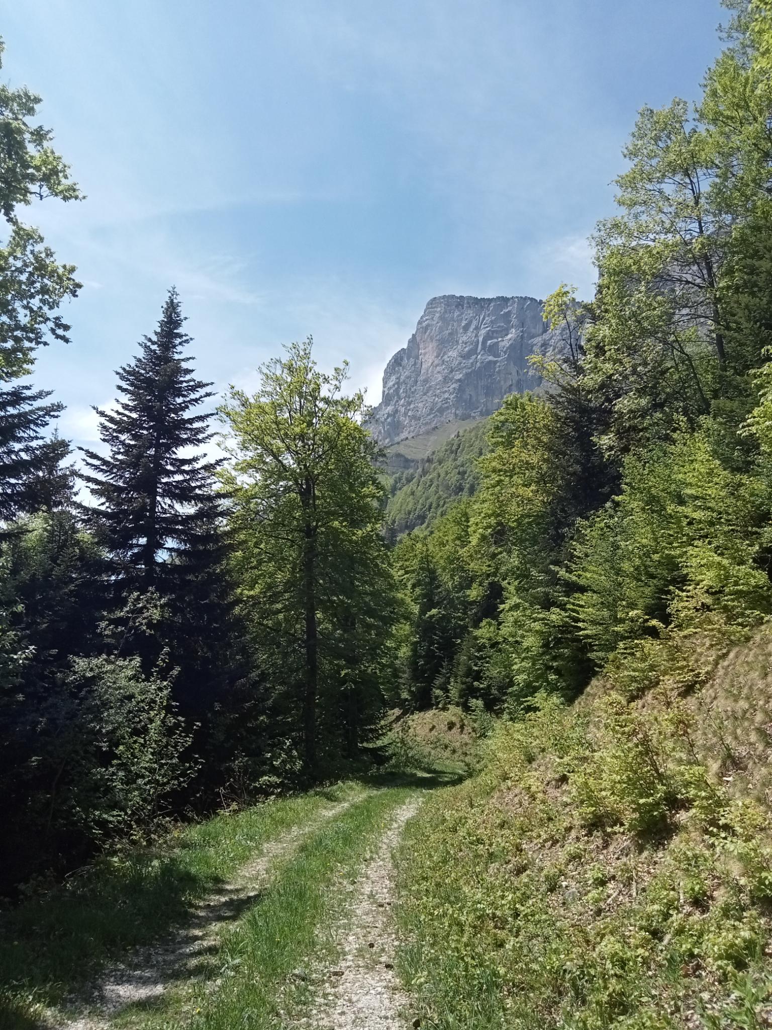 TRAIL : TOUR DU PLATEAU DES PETITES ROCHES