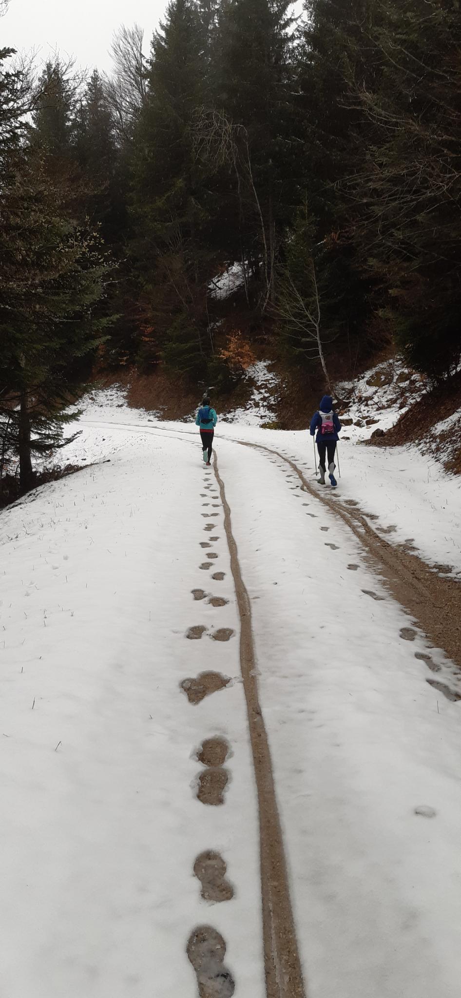 Trail : plateau des Petites Roches