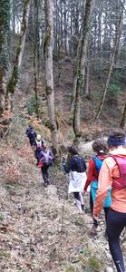 Trail : plateau des Petites Roches
