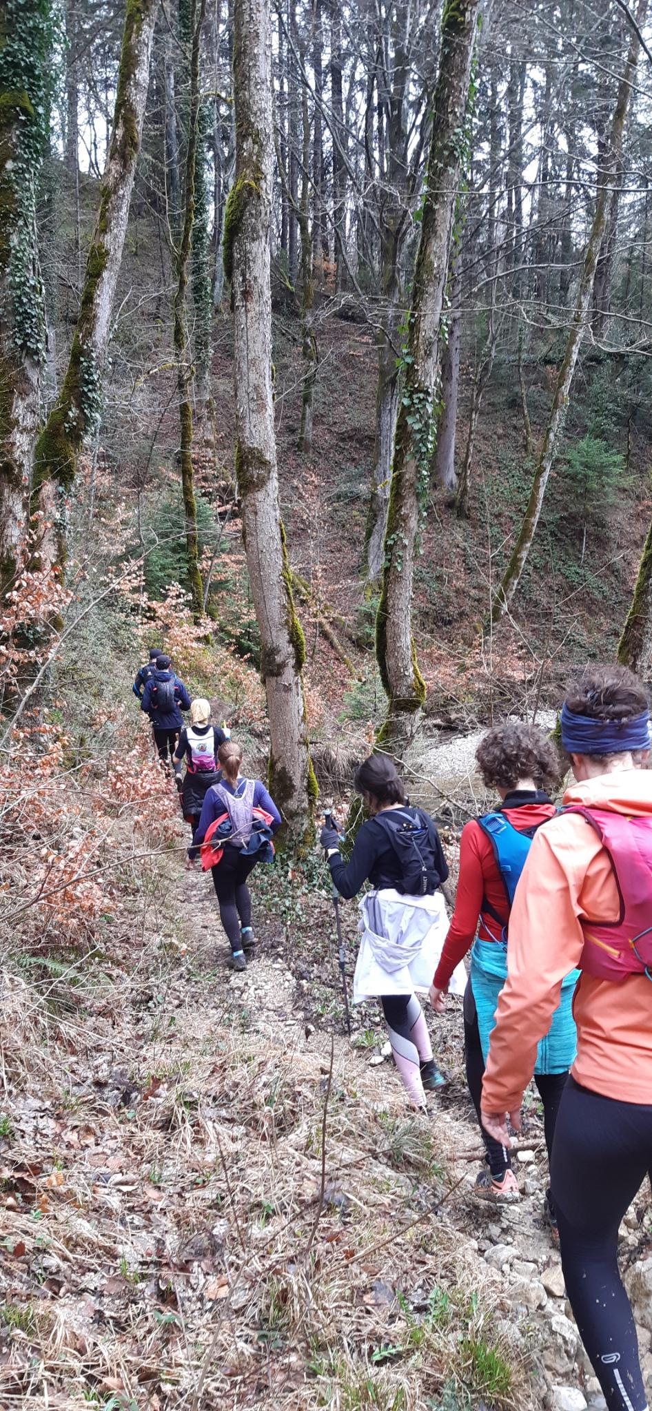 Trail : plateau des Petites Roches