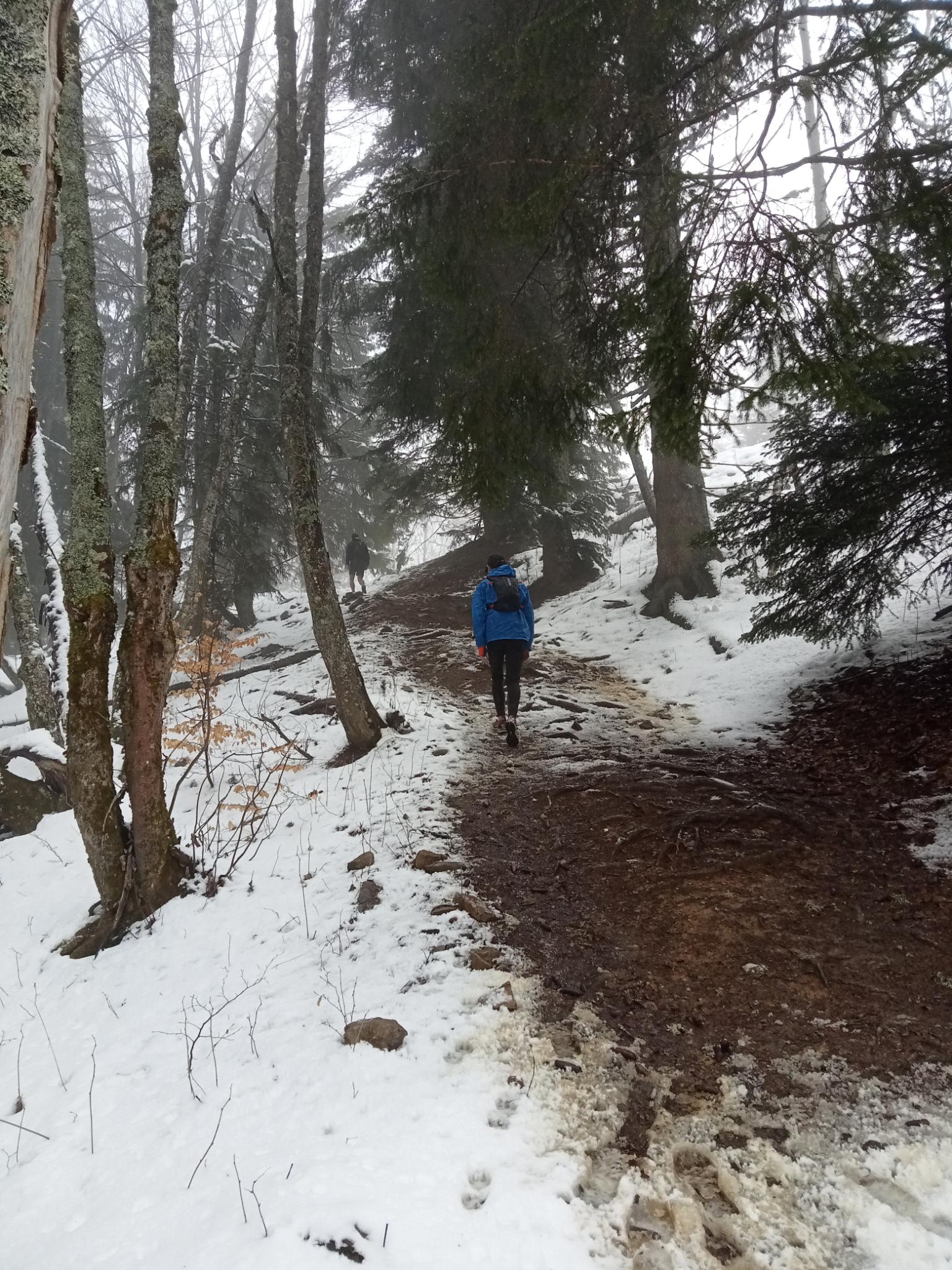 Trail : plateau des Petites Roches