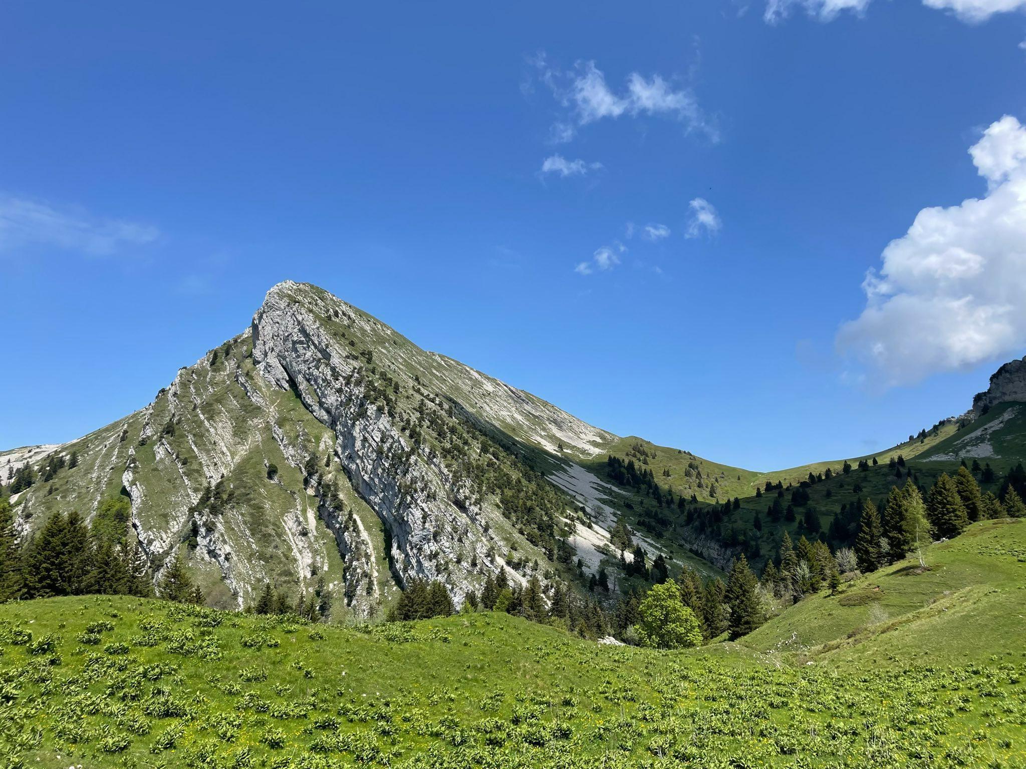 Trail : La Grande Sûre