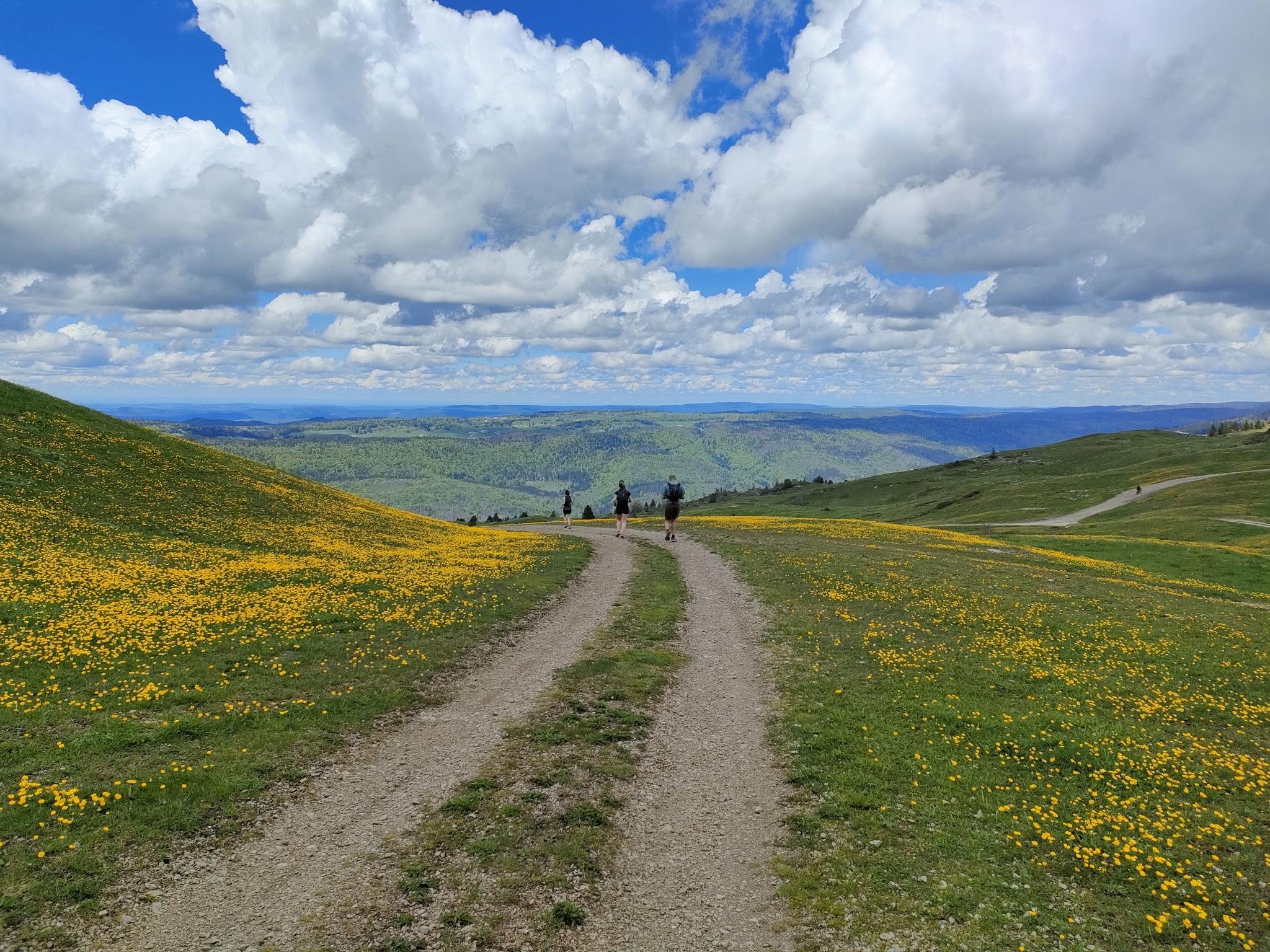 TRAIL : WEEK-END DANS LE JURA