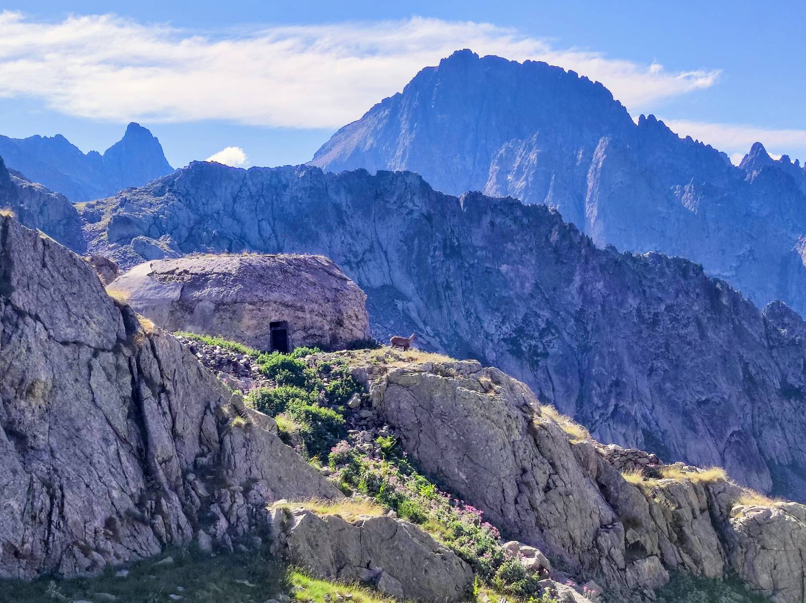 TRAIL : Itinérance estivale dans le Mercantour